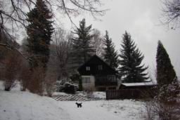 Resize of DSC01767.JPG